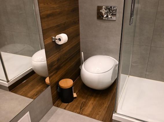 Apartmán Silver - Stara Polana *